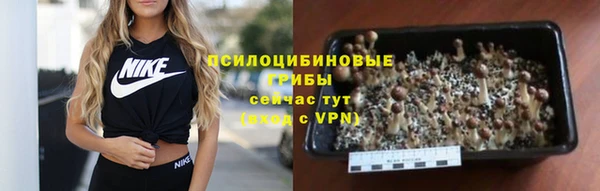 прущая мука Касимов