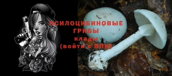 прущая мука Касимов