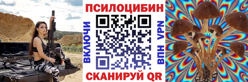 Купить  Ангарск  Псилоцибиновые грибы мицелий 